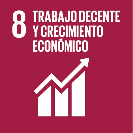 Objetivo de Desarrollo Sostenible 8: Trabajo decente y crecimiento económico.