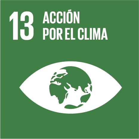 Objetivo de Desarrollo Sostenible 13: Acción por el clima.