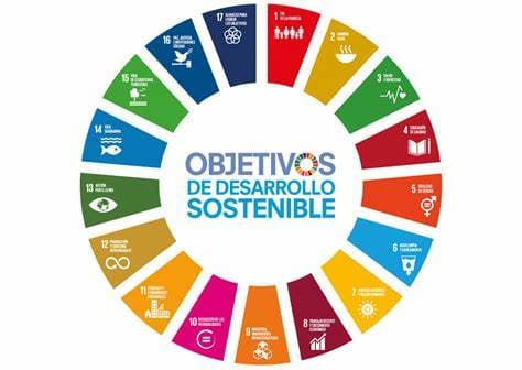 Logotipo de los Objetivos de Desarrollo Sostenible
